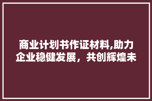 商业计划书作证材料,助力企业稳健发展，共创辉煌未来