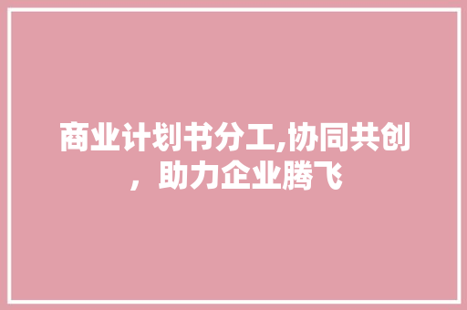 商业计划书分工,协同共创，助力企业腾飞