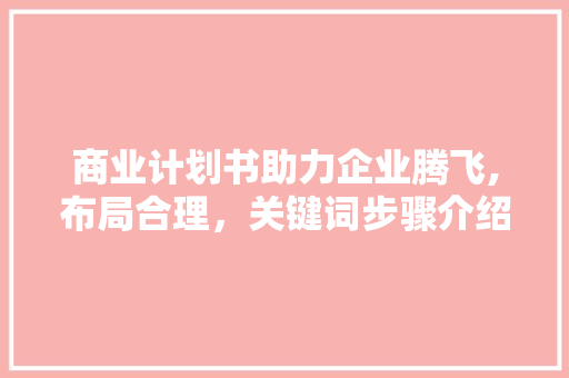 商业计划书助力企业腾飞,布局合理，关键词步骤介绍