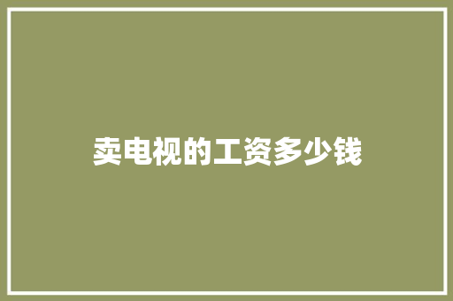 卖电视的工资多少钱