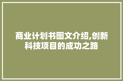 商业计划书图文介绍,创新科技项目的成功之路