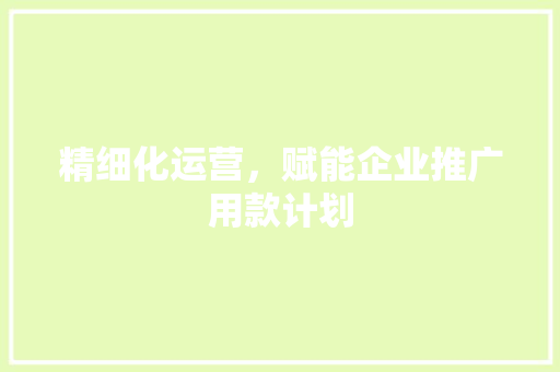 精细化运营，赋能企业推广用款计划