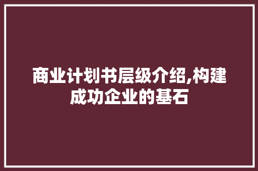 商业计划书层级介绍,构建成功企业的基石