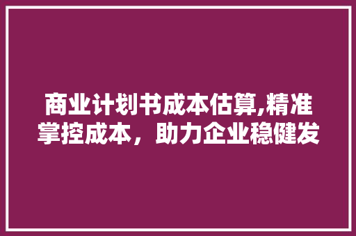 商业计划书成本估算,精准掌控成本，助力企业稳健发展
