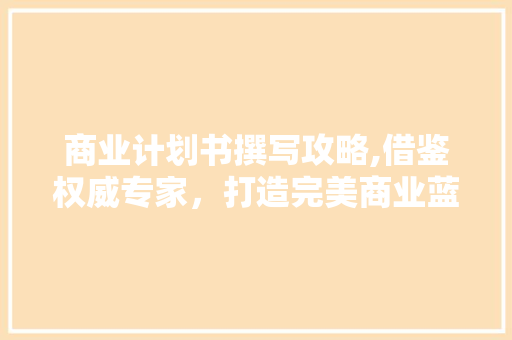 商业计划书撰写攻略,借鉴权威专家，打造完美商业蓝图