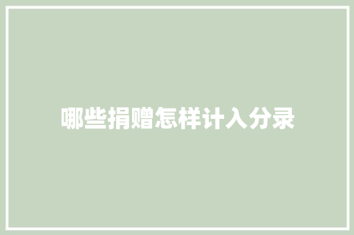 哪些捐赠怎样计入分录