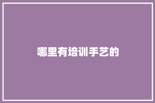 哪里有培训手艺的