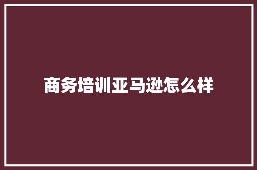 商务培训亚马逊怎么样