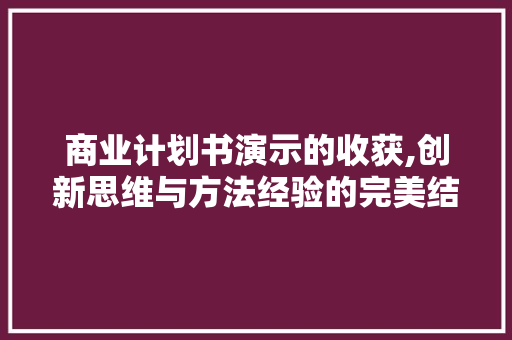 商业计划书演示的收获,创新思维与方法经验的完美结合