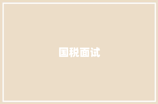 国税面试