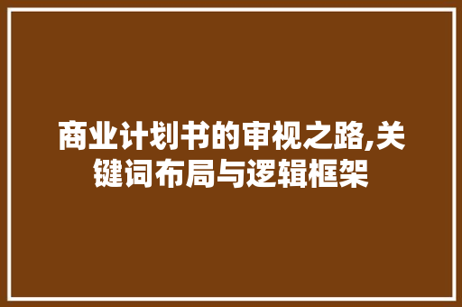 商业计划书的审视之路,关键词布局与逻辑框架