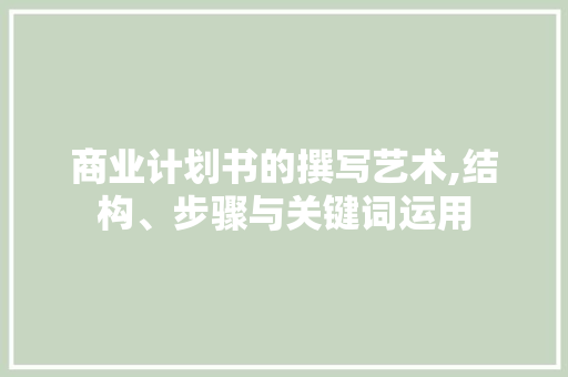 商业计划书的撰写艺术,结构、步骤与关键词运用