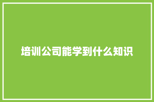 培训公司能学到什么知识