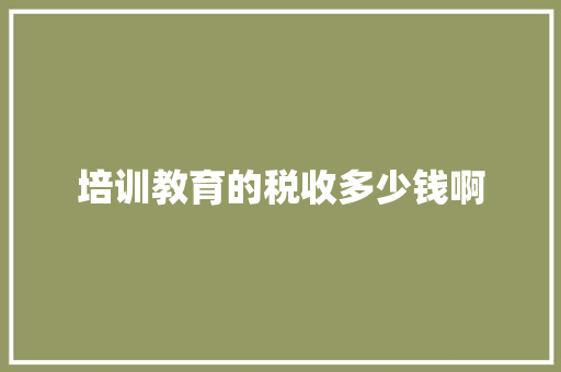 培训教育的税收多少钱啊
