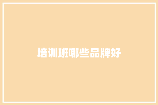 培训班哪些品牌好
