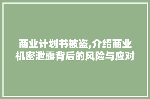 商业计划书被盗,介绍商业机密泄露背后的风险与应对步骤