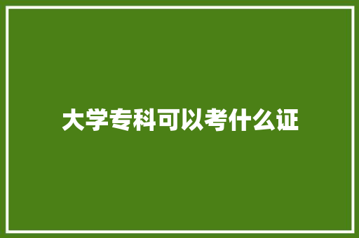 大学专科可以考什么证