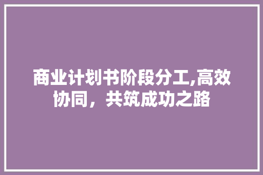 商业计划书阶段分工,高效协同，共筑成功之路