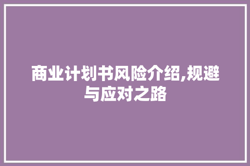 商业计划书风险介绍,规避与应对之路