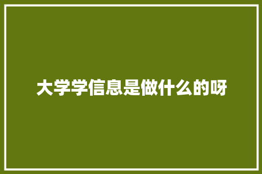 大学学信息是做什么的呀