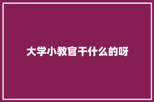 大学小教官干什么的呀