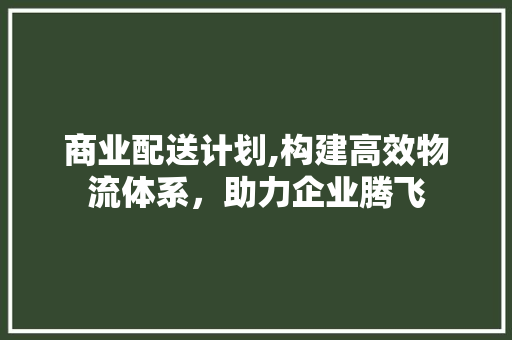 商业配送计划,构建高效物流体系，助力企业腾飞
