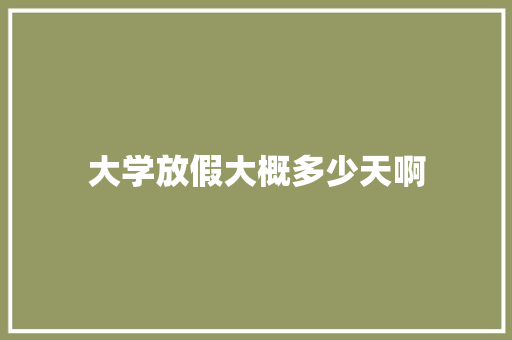 大学放假大概多少天啊