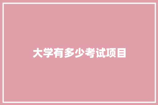 大学有多少考试项目