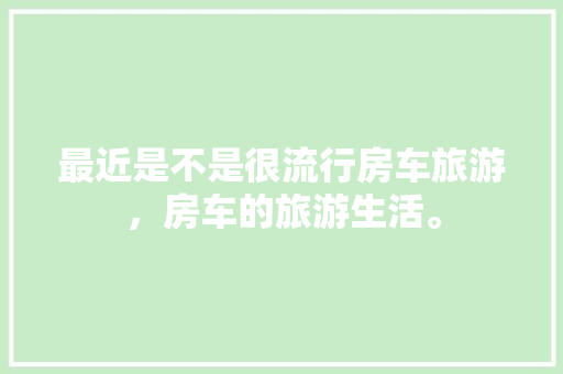 监控人计划,未来城市管理的智慧之光