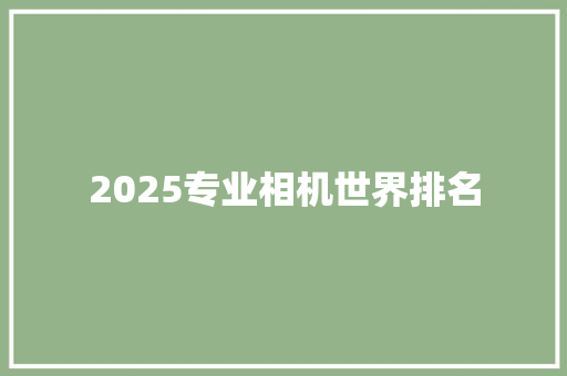 2025专业相机世界排名