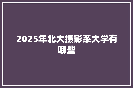2025年北大摄影系大学有哪些