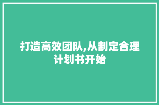 打造高效团队,从制定合理计划书开始