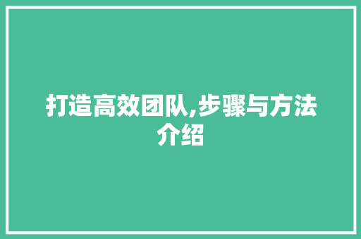 打造高效团队,步骤与方法介绍