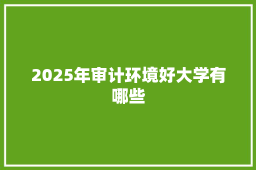 2025年审计环境好大学有哪些
