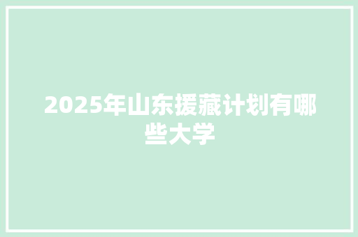 2025年山东援藏计划有哪些大学