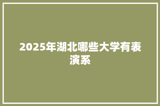 2025年湖北哪些大学有表演系