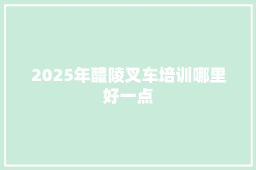 2025年醴陵叉车培训哪里好一点