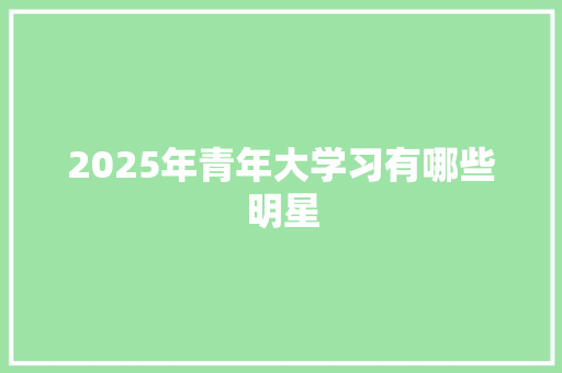 2025年青年大学习有哪些明星