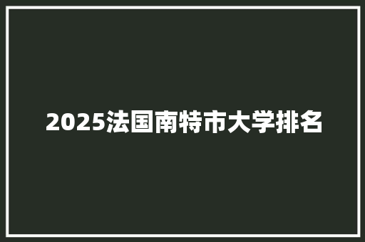 2025法国南特市大学排名
