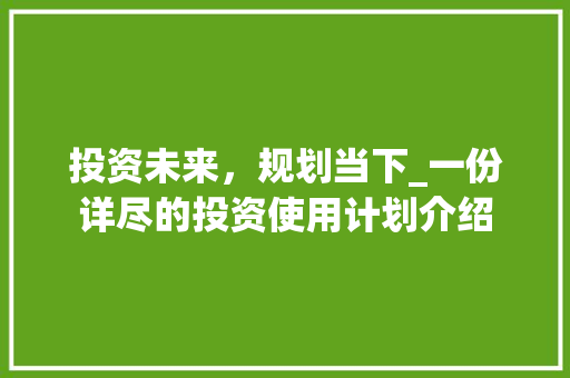 投资未来，规划当下_一份详尽的投资使用计划介绍