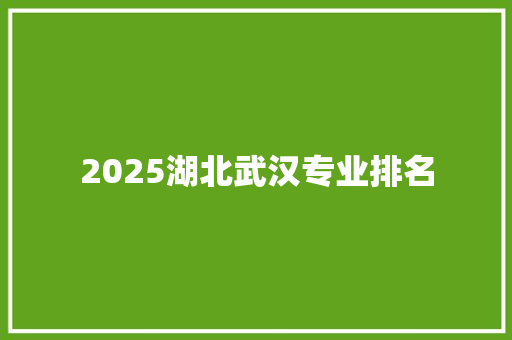 2025湖北武汉专业排名