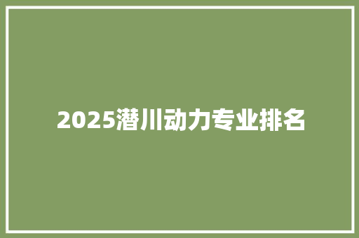 2025潜川动力专业排名