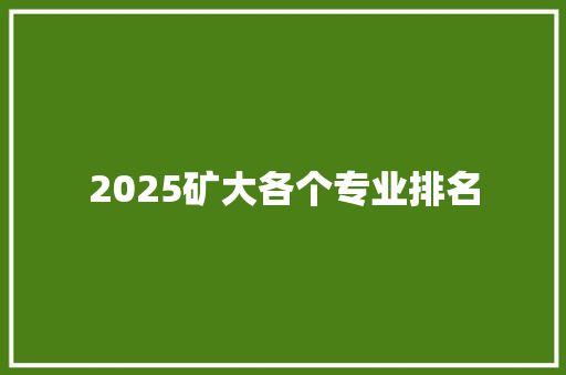 2025矿大各个专业排名