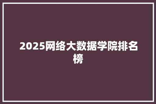 2025网络大数据学院排名榜
