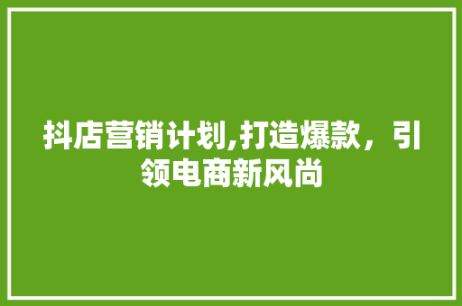 抖店营销计划,打造爆款，引领电商新风尚