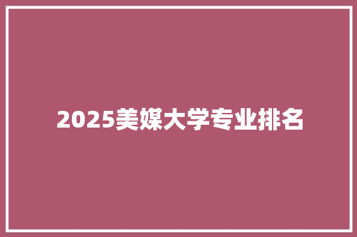 2025美媒大学专业排名