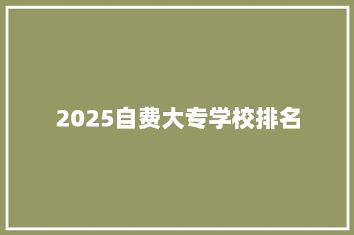 2025自费大专学校排名