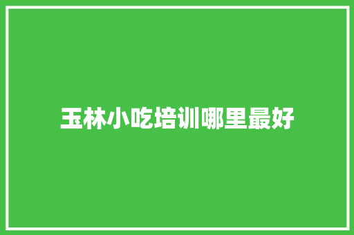 玉林小吃培训哪里最好