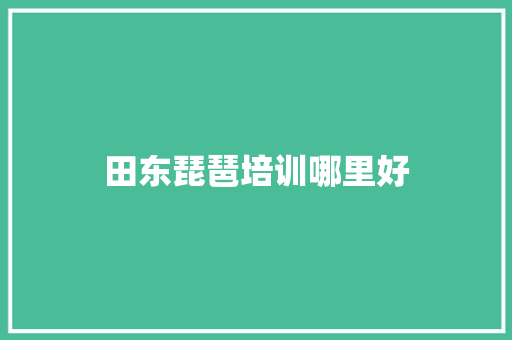田东琵琶培训哪里好