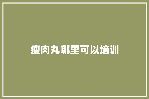 瘦肉丸哪里可以培训